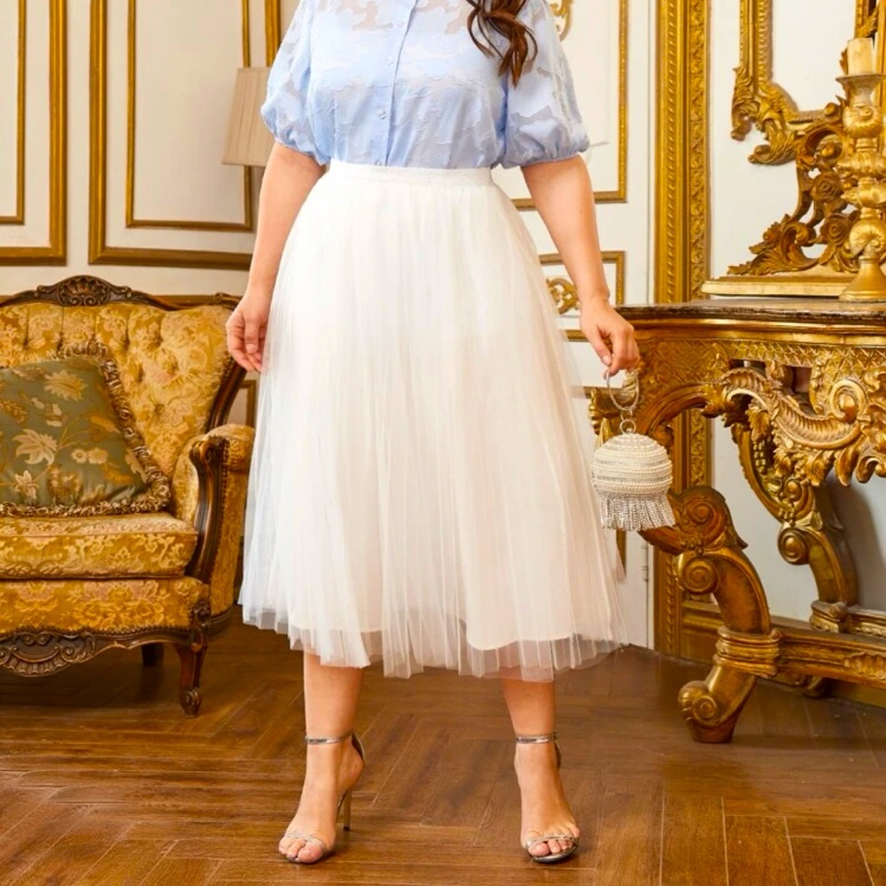 🤩host pick🤩Pleated mesh skirt